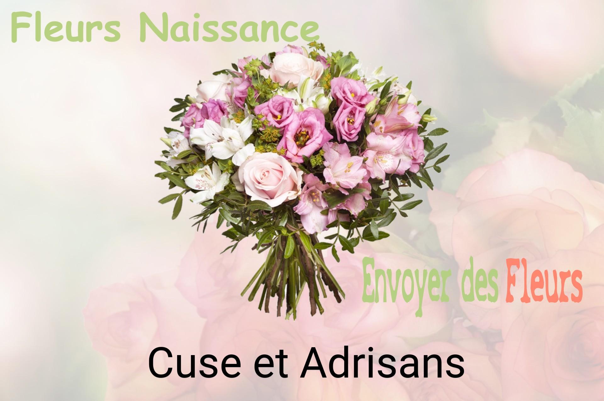Bouquet de fleurs de naissance livré à Cuse-et-Adrisans